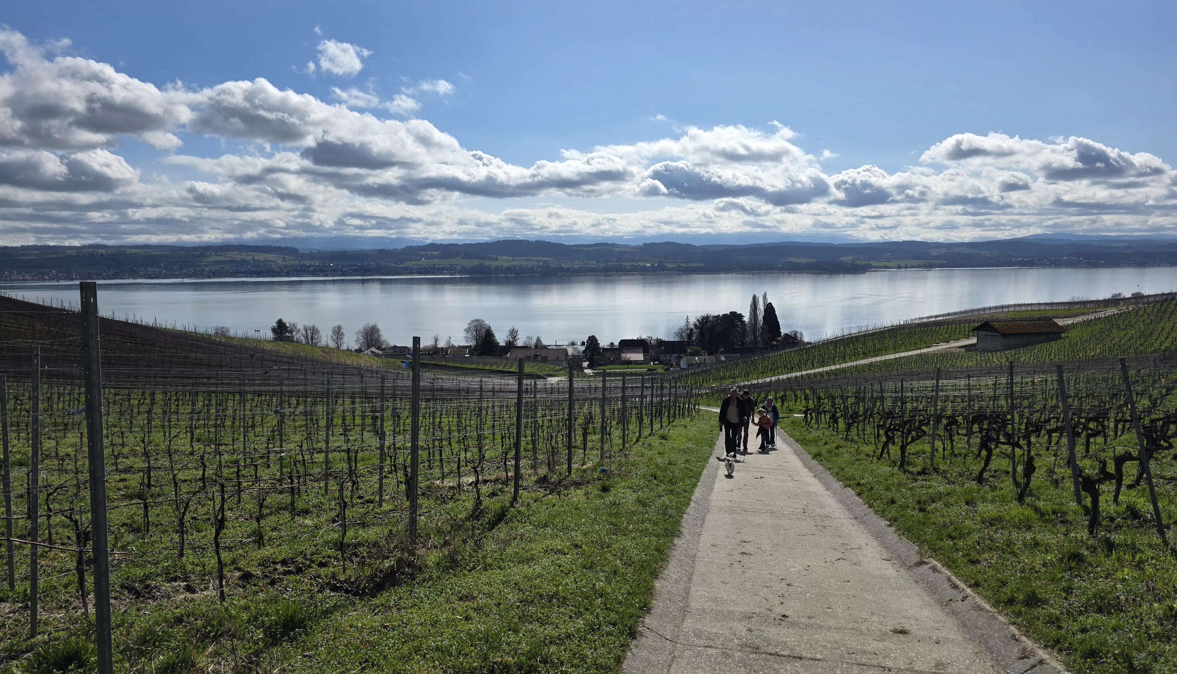 Marche vers le Mont Vully, vue 3