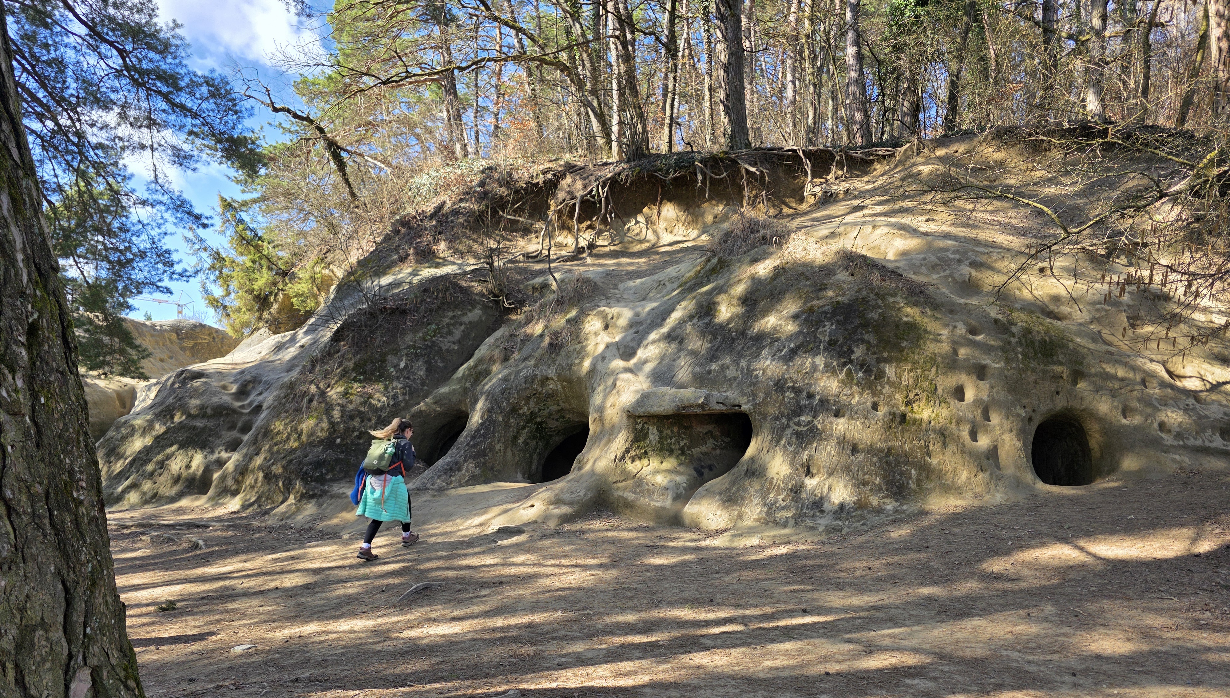 Marche vers le Mont Vully, vue 4