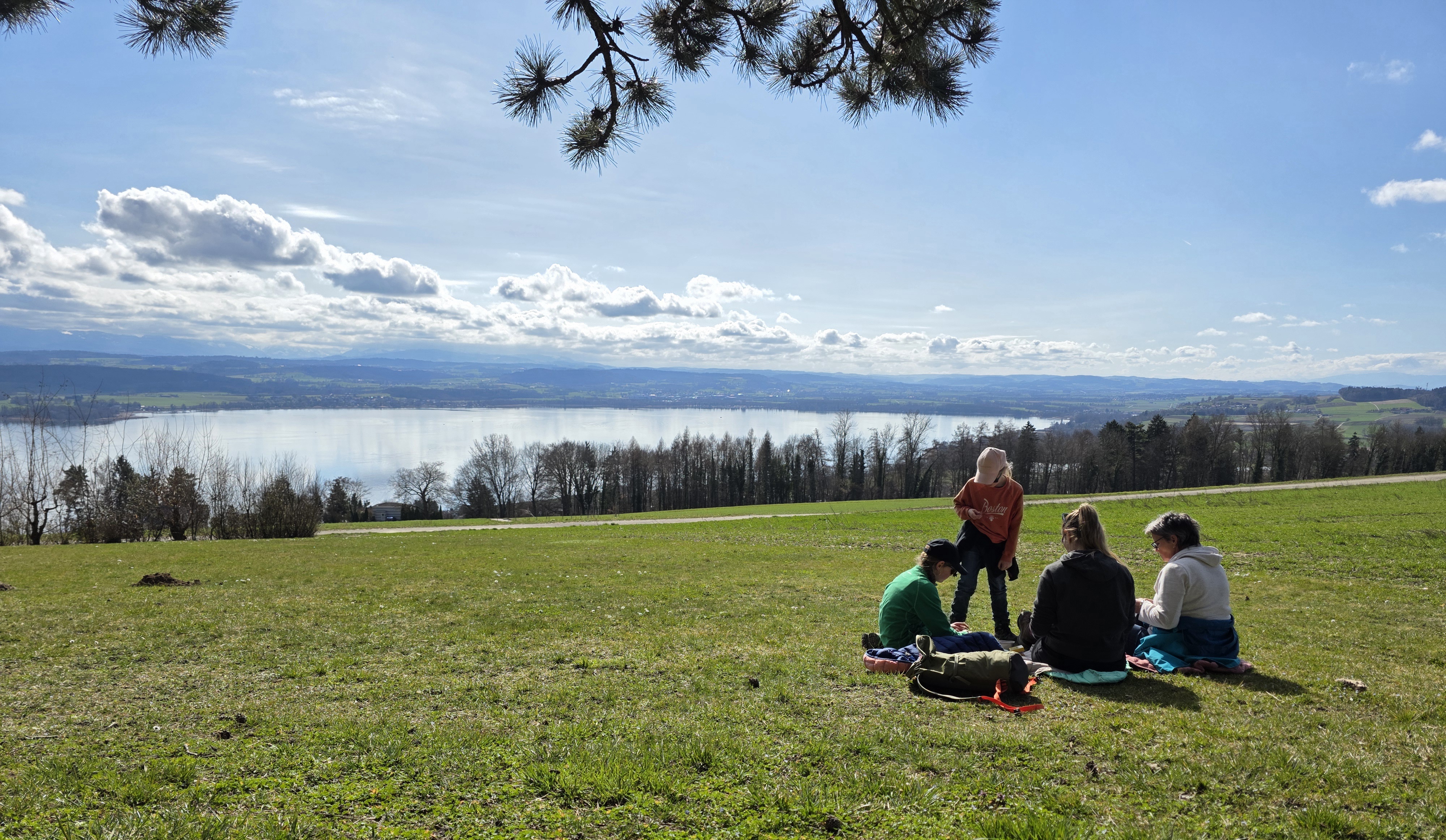 Marche vers le Mont Vully, vue 5