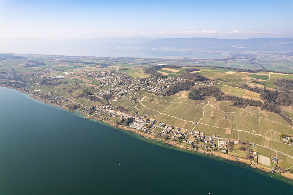 Vignobles et rives du Mont Vully